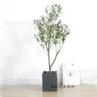 uploads/erp/collection/images/Home Garden/dgjiawang/XU0612839/img_b/XU0612839_img_b_3